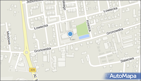 DPD Pickup Automaty, pon-ndz 00:00-24:00, Leszno, godziny otwarcia