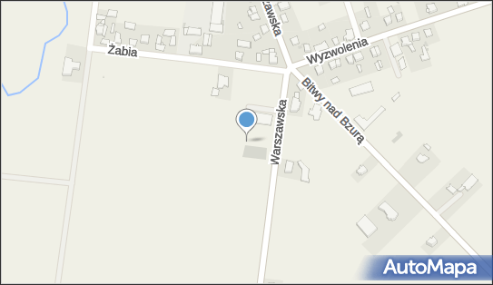 DPD Pickup Automaty, pon-ndz 00:00-24:00, Iłów, godziny otwarcia