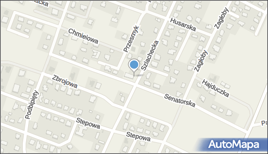 DPD Pickup Automaty, pon-ndz 00:00-24:00, Nowe Gulczewo, godziny otwarcia