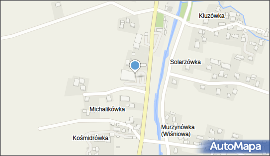 DPD Pickup Automaty, pon-ndz 00:00-24:00, Wiśniowa, godziny otwarcia