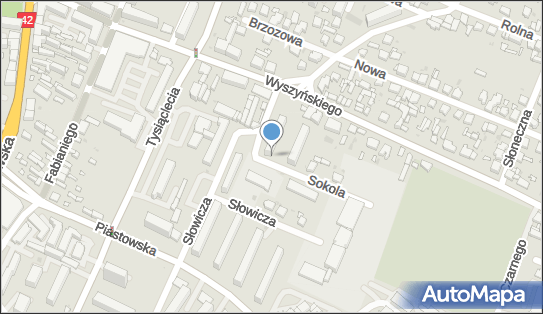 DPD Pickup Automaty, Sokola 1, Radomsko 97-500, godziny otwarcia