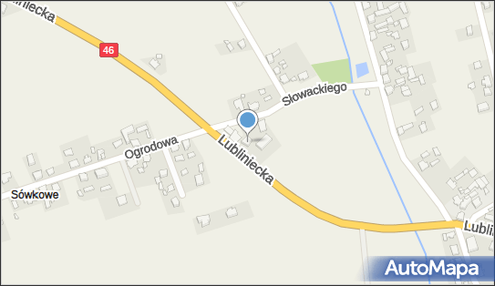 DPD Pickup Punkty, LUBLINIECKA 10A, Lisowice 42-700, godziny otwarcia