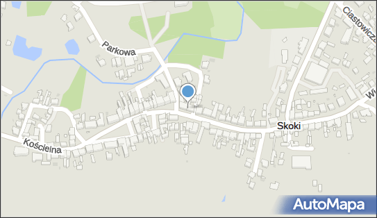 DPD Pickup Punkty, JANA PAWŁA II 21, Skoki 62-085, godziny otwarcia