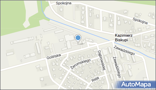 DPD Pickup Punkty, GOLIŃSKA 10, Kazimierz Biskupi 62-530, godziny otwarcia