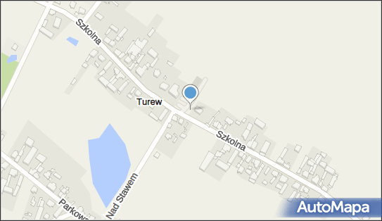 DPD Pickup Punkty, Szkolna 43, Turew 64-000, godziny otwarcia