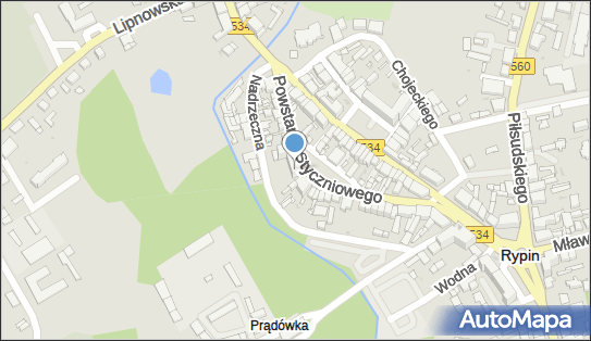 DPD Pickup Punkty, POWSTANIA STYCZNIOWEGO 20, Rypin 87-500, godziny otwarcia