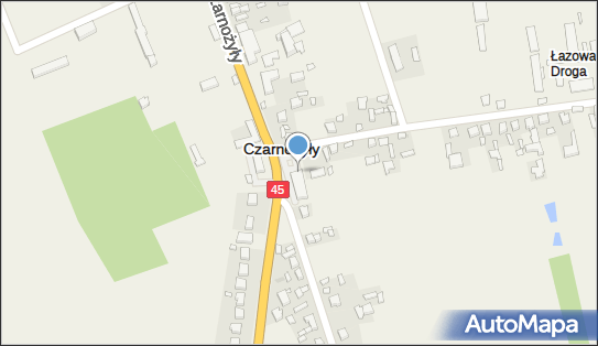 DPD Pickup Punkty, Czarnożyły 166, Czarnożyły 98-310, godziny otwarcia