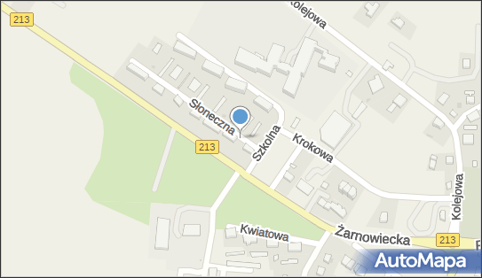 DPD Pickup Punkty, Kolejowa 21, Krokowa 84-110, godziny otwarcia