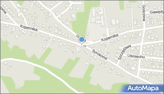 DPD Pickup Punkty, Kopernika 92 - automat paczkowy 44-300, godziny otwarcia