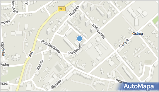 DPD Pickup Punkty, Książęca 12- automat paczkowy, Racibórz 47-400, godziny otwarcia