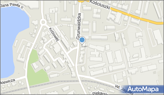 DPD Pickup Punkty, Grunwaldzka 9/7A, Iława 14-200, godziny otwarcia