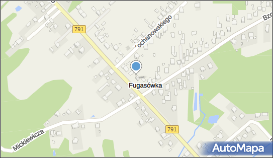 DPD Pickup Punkty, Poniatowskiego 40, Fugasówka 42-440, godziny otwarcia