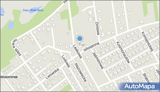 DPD Pickup Punkty, Wiosenna 1D, Wołomin 05-200, godziny otwarcia