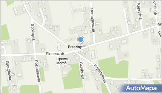 DPD Pickup Punkty, Brzeziny 120, Lipowa 34-324, godziny otwarcia