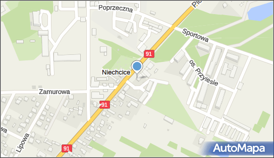 DPD Pickup Punkty, Częstochowska 6, Niechcice 97-340, godziny otwarcia