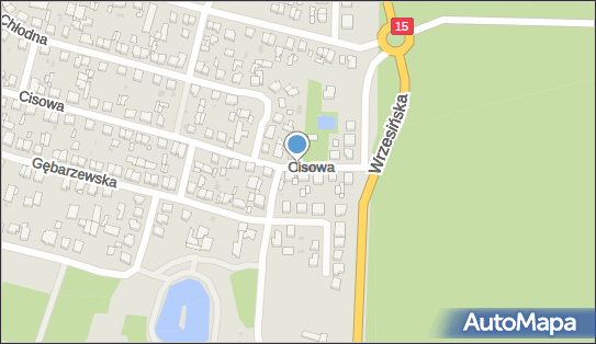 DPD Pickup Punkty, Cisowa 7- automat paczkowy, Gniezno 62-200, godziny otwarcia