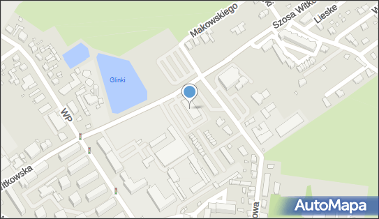 DPD Pickup Punkty, Szosa Witkowska 1 L- automat paczkowy, Września 62-300, godziny otwarcia