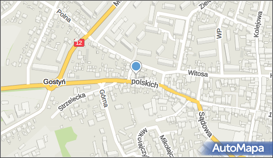 DPD Pickup Punkty, Powstańców Wielkopolskich 31, Gostyń 63-800, godziny otwarcia