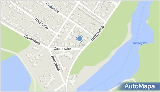 DPD Pickup Punkty, Ziemowita 75, Poznań 61-063, godziny otwarcia