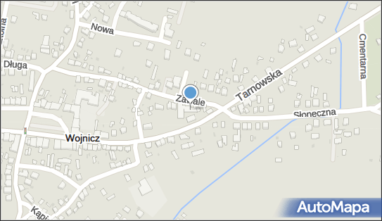 DPD Pickup Punkty, Tarnowska 14, Wojnicz 32-830, godziny otwarcia