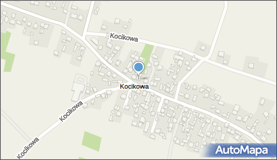 DPD Pickup Punkty, KOCIKOWA 69, Pilica 42-436, godziny otwarcia