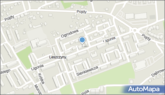 DPD Pickup Punkty, Ligonia 8/8B, Czerwionka-Leszczyny 44-238, godziny otwarcia