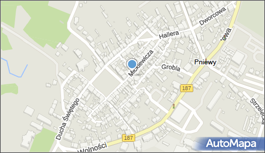 DPD Pickup Punkty, Mickiewicza 14 - automat paczkowy, Pniewy 62-045, godziny otwarcia
