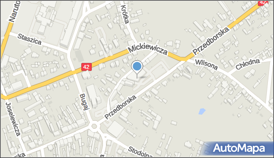 DPD Pickup Punkty, Przedborska 47 - automat paczkowy, Radomsko 97-500, godziny otwarcia