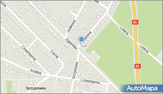 DPD Pickup Punkty, Zgierska 98, Ozorków 95-035, godziny otwarcia