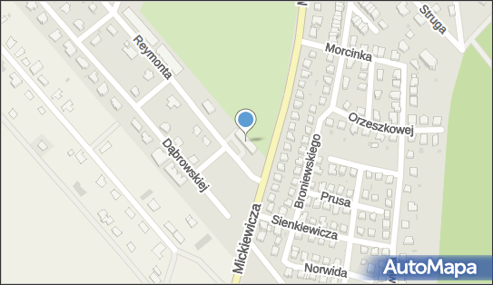 DPD Pickup Punkty, Władysława Reymonta 11, Jawor 59-400, godziny otwarcia