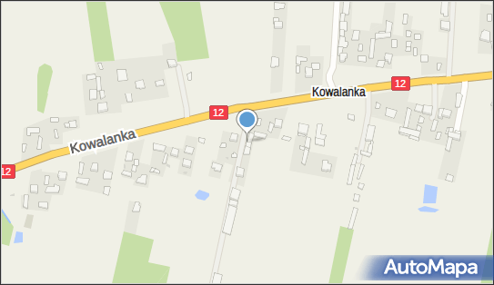 DPD Pickup Punkty, KOWALANKA 24, Wolanów 26-625, godziny otwarcia