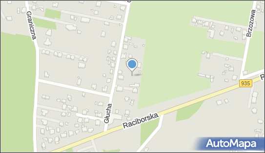 DPD Pickup Punkty, Ogrodowa 30, Łaziska Górne 43-170, godziny otwarcia