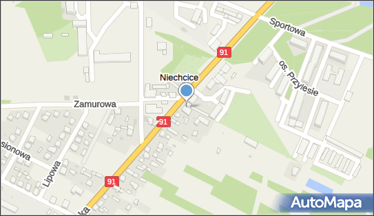 DPD Pickup Punkty, Częstochowska 10 - automat paczkowy, Niechcice 97-340, godziny otwarcia