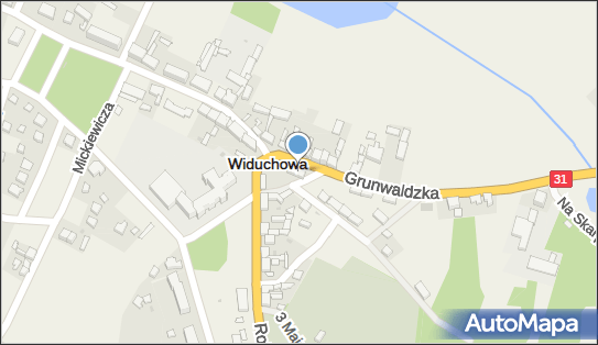 DPD Pickup, Grunwaldzka 15, Widuchowa 74-120, godziny otwarcia