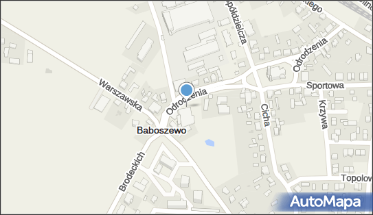 DPD Pickup, Odrodzenia 2A, Baboszewo 09-130, godziny otwarcia