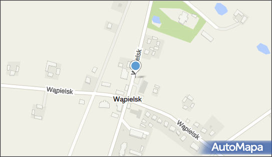 DPD Pickup, Wąpielsk 60B, Wąpielsk 87-337, godziny otwarcia