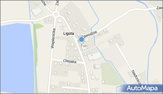 DPD Pickup, Bielska 13, Ligota 43-518, godziny otwarcia