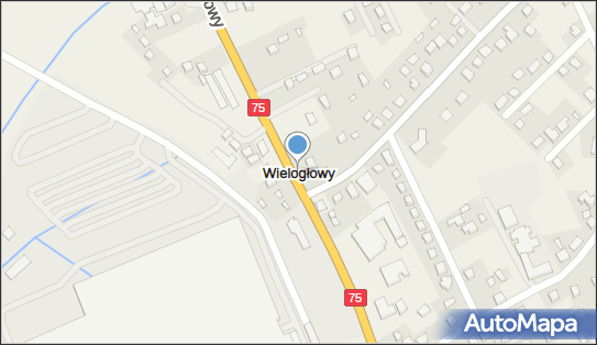 DPD Pickup, Wielogłowy 90, Wielogłowy 33-311, godziny otwarcia