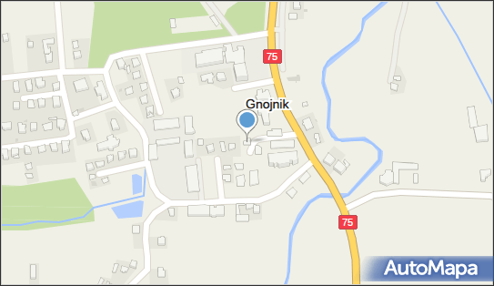 Lokal główny, Gnojnik 527, Gnojnik, numer telefonu