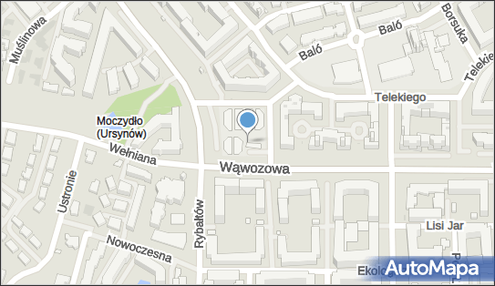 Euronet - Bankomat, ul. Wąwozowa 36, Warszawa 02-796, godziny otwarcia