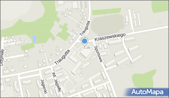 Euronet - Bankomat, ul. Traugutta 52, Pszów 44-370, godziny otwarcia