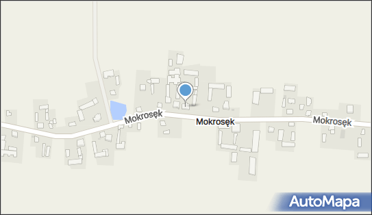 Patrycja Witkowska, Mokrosęk 27, Mokrosęk 26-660, numer telefonu