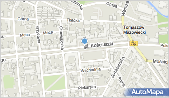 Fontanna, Plac Kościuszki Tadeusza, gen. 29, Tomaszów Mazowiecki 97-200 - Fontanna