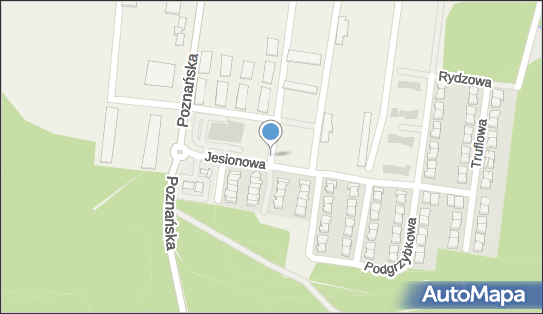 Fortuna - Zakład bukmacherski, Ul. Jesionowa 3/, Biedrusko 62-003, godziny otwarcia, numer telefonu