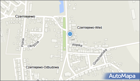 Fryzjer, Pałacowa 8, Czerniejewo 62-250