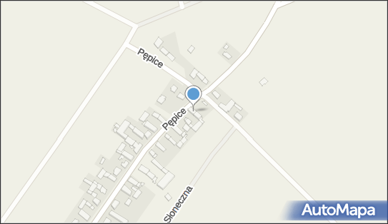 Salon Fryzjerski, Pępice 2, Pępice 49-351, NIP: 7471291331