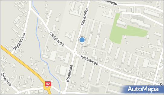 Salon Fryzjersko Kosmetyczny Loczek, ul. Mikołaja Kopernika 22 62-400, numer telefonu, NIP: 7891548972