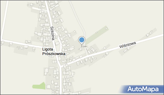 Usługi Fryzjerskie, Wiśniowa 7, Ligota Prószkowska 46-060, NIP: 7541444166