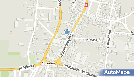 Zakład Fryzjersko Kosmetyczny Viola, ul. św. Ducha 24, Strzelno 88-320, NIP: 5571103411