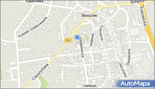 GEO S.C. Pracownia Usług Geodezyjnych, Adama Mickiewicza 4 43-430 - Geodezja, Kartografia, godziny otwarcia, numer telefonu